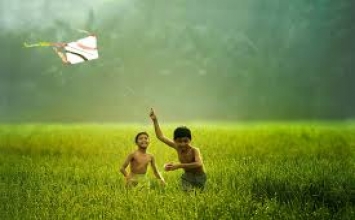 Câu chuyện về con kiến